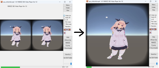 R800ZZ SBS Video Player